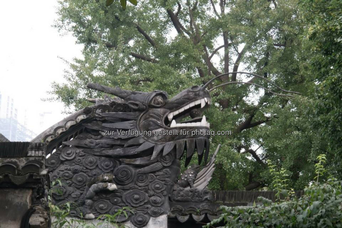 China, Drache