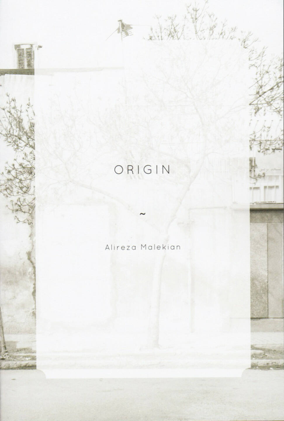 Alireza Malekian - Origin, The Velvet Cell, 2014, Cover - http://josefchladek.com/book/alireza_malekian_-_origin