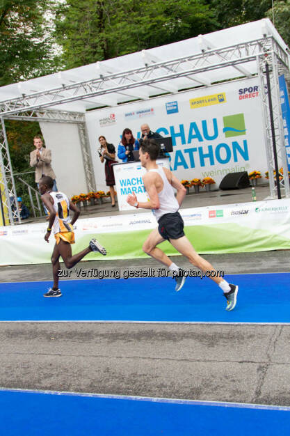 Wachau Marathon 2014, © Milena Ioveva  (14.09.2014) 