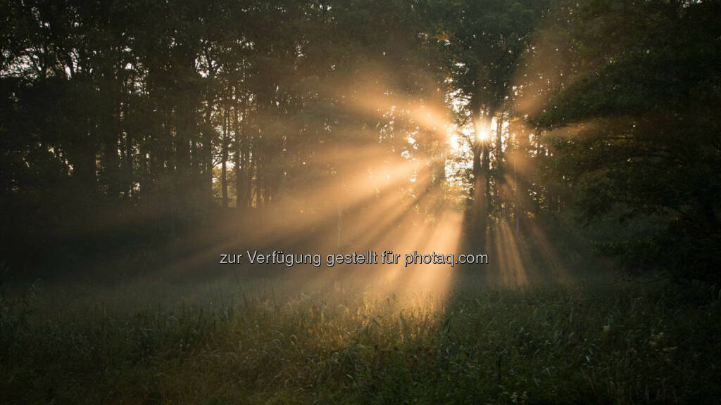 Sonnenaufgang, http://www.sunshinemoments.at/, © Georg Krewenka, <a href=