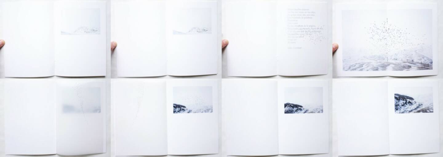 Beatriz S. González Jiménez - Escribo pájaros, Self published 2014, Beispielseiten, sample spreads - http://josefchladek.com/book/beatriz_s_gonzalez_jimenez_-_escribo_pajaros