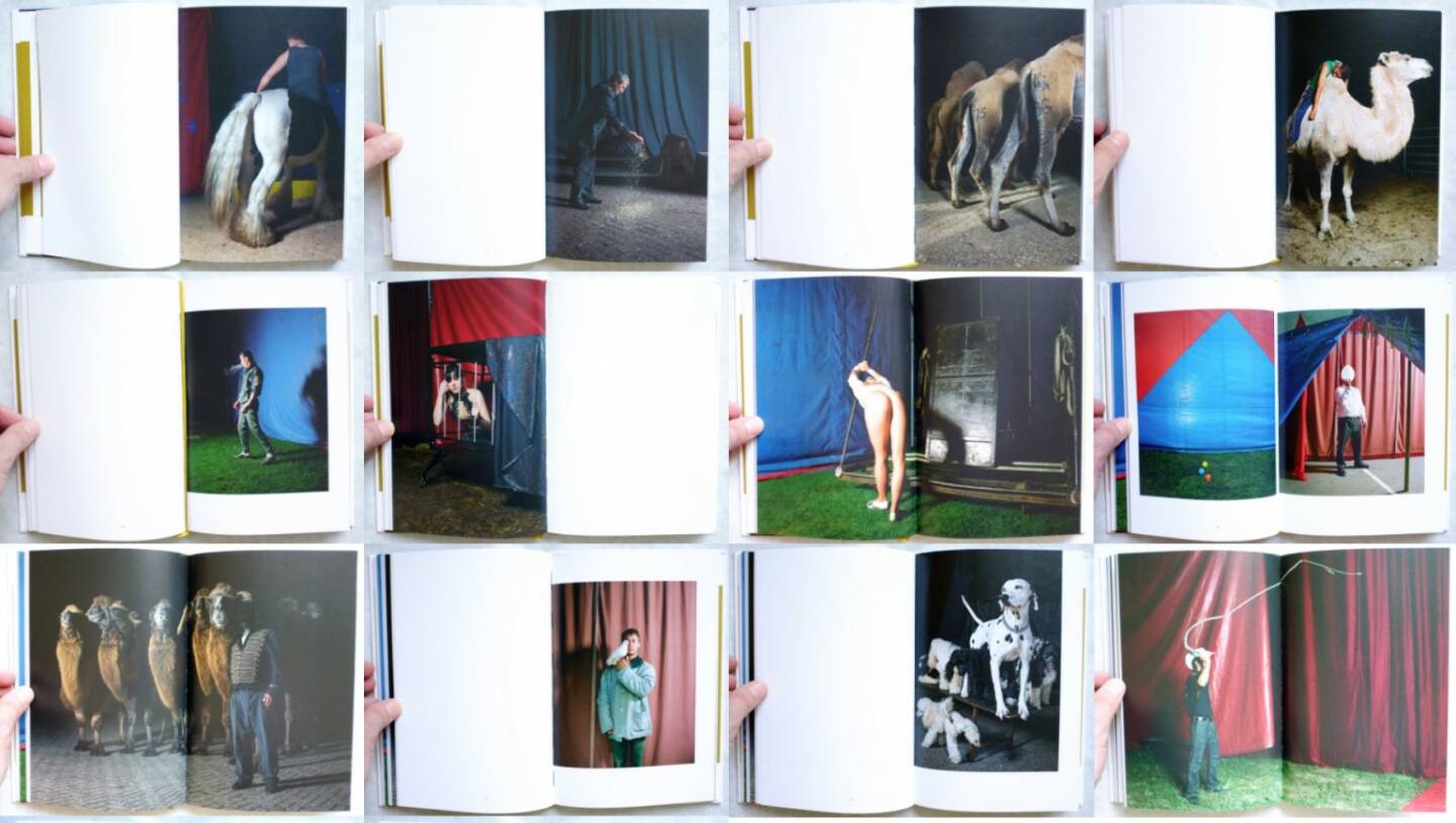 Wiesje Peels - Mimus, Komma / d’jonge hond 2014, Beispielseiten, sample spreads - http://josefchladek.com/book/wiesje_peels_-_mimus
