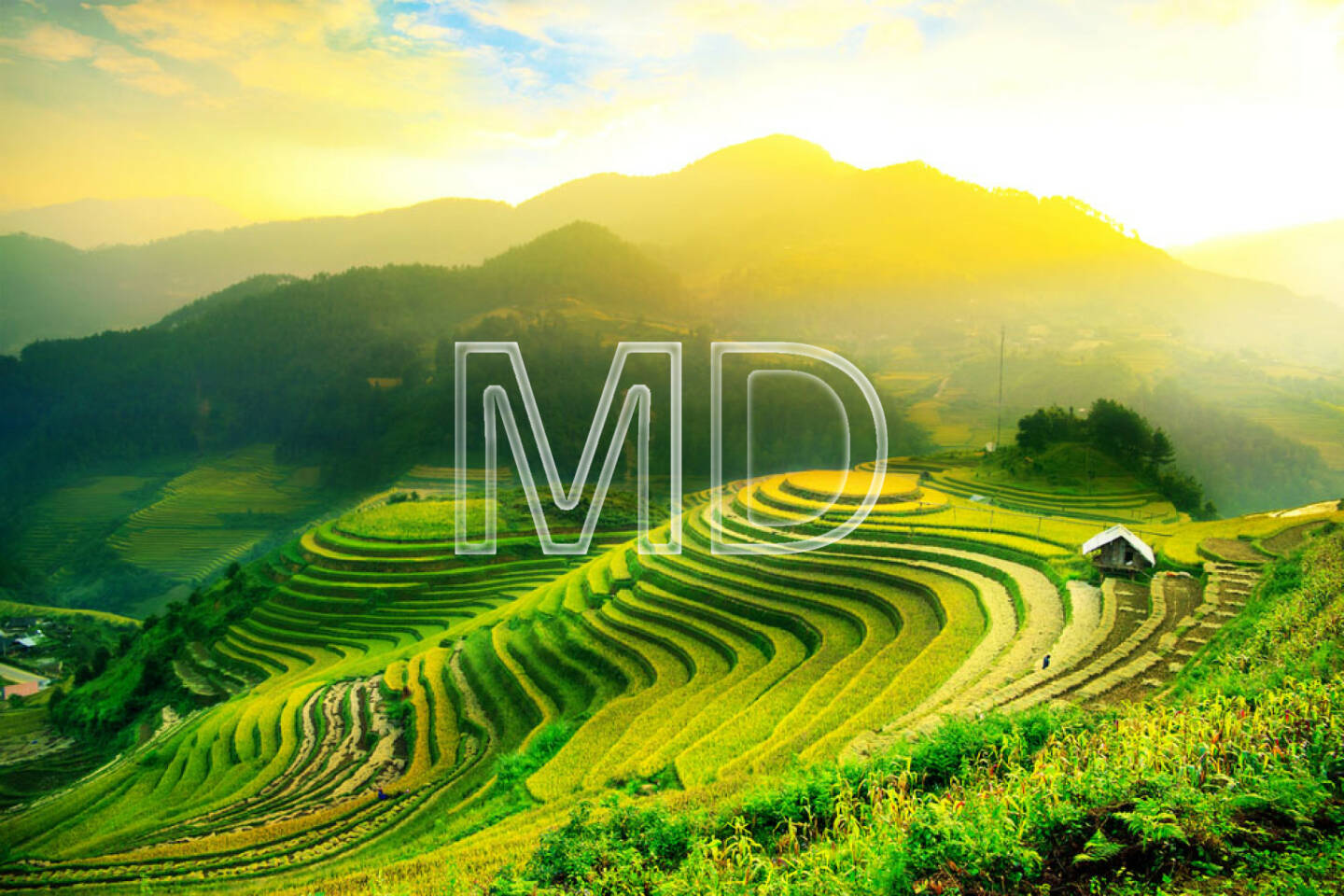 Reisfeld, Reisterrasse, Vietnam, Boden, Erde, Landwirtschaft, http://www.shutterstock.com/de/pic-176408066/stock-photo-rice-fields-on-terraced-of-mu-cang-chai-yenbai-vietnam-rice-fields-prepare-the-harvest-at.html