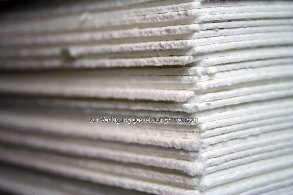 Zellstoff Lenzing (Bild: Markus Renner / Electric Arts) (15.12.2014)