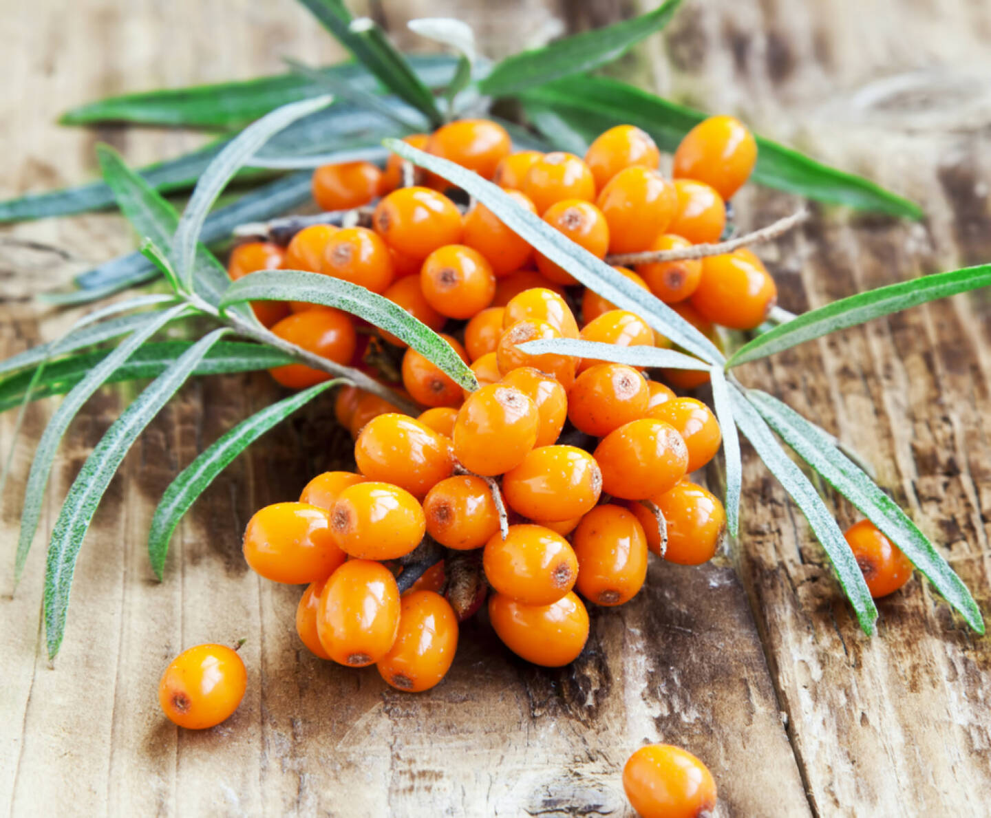 Sanddorn, Superfruit, http://www.shutterstock.com/de/pic-218145196/stock-photo-seabuckthorn-berries-on-wooden-background.html