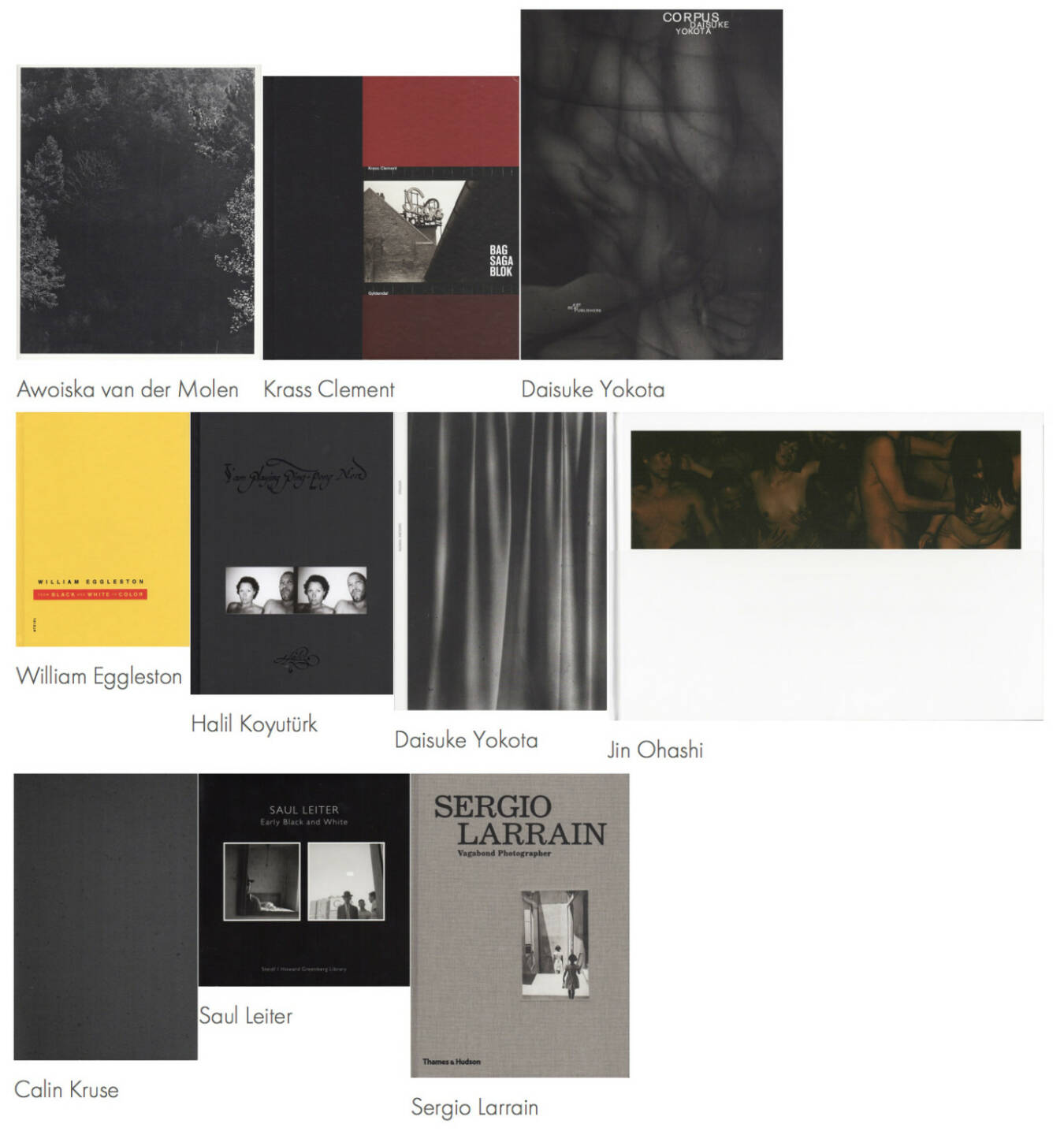 Halil, Ohashi, Leiter, Clement, Yokota, van der Molen, Yokota, Eggleston, Kruse, Larrain - http://josefchladek.com/list/best_of_2014_top_accesses_1_-_10