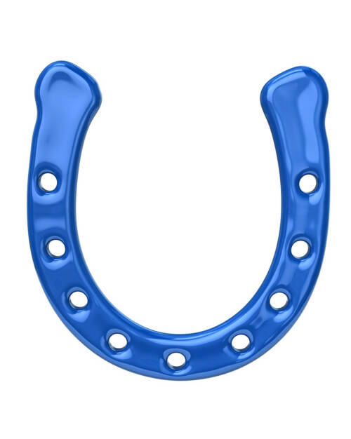 blaues Hufeisen, Hufeisen, Wall Street, http://www.shutterstock.com/de/pic-241629583/stock-photo-blue-horseshoe-icon.html, © www.shutterstock.com (27.01.2015) 