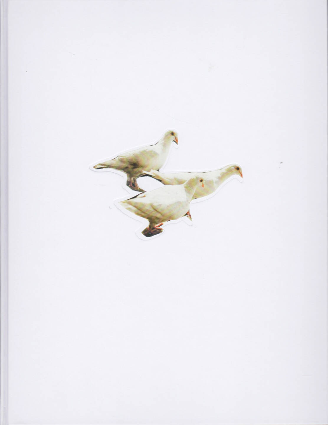Carolyn Drake - Wild Pigeon, Self published 2014, Cover - http://josefchladek.com/book/carolyn_drake_-_wild_pigeon