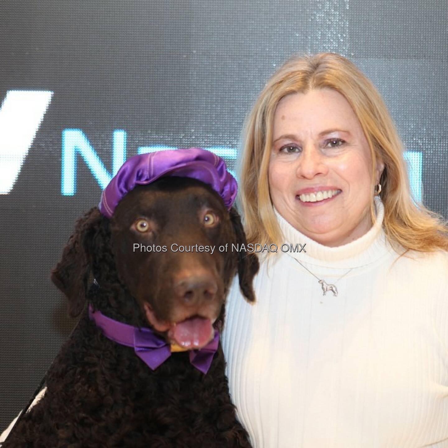 Hund: Woof woof! The 139th Annual Westminster Dog Show rang the @Nasdaq Closing Bell! #dogs #puppies #dog #dogsofinstagram #pup #westminsterdogshow @westminsterkennelclub  Source: http://facebook.com/NASDAQ