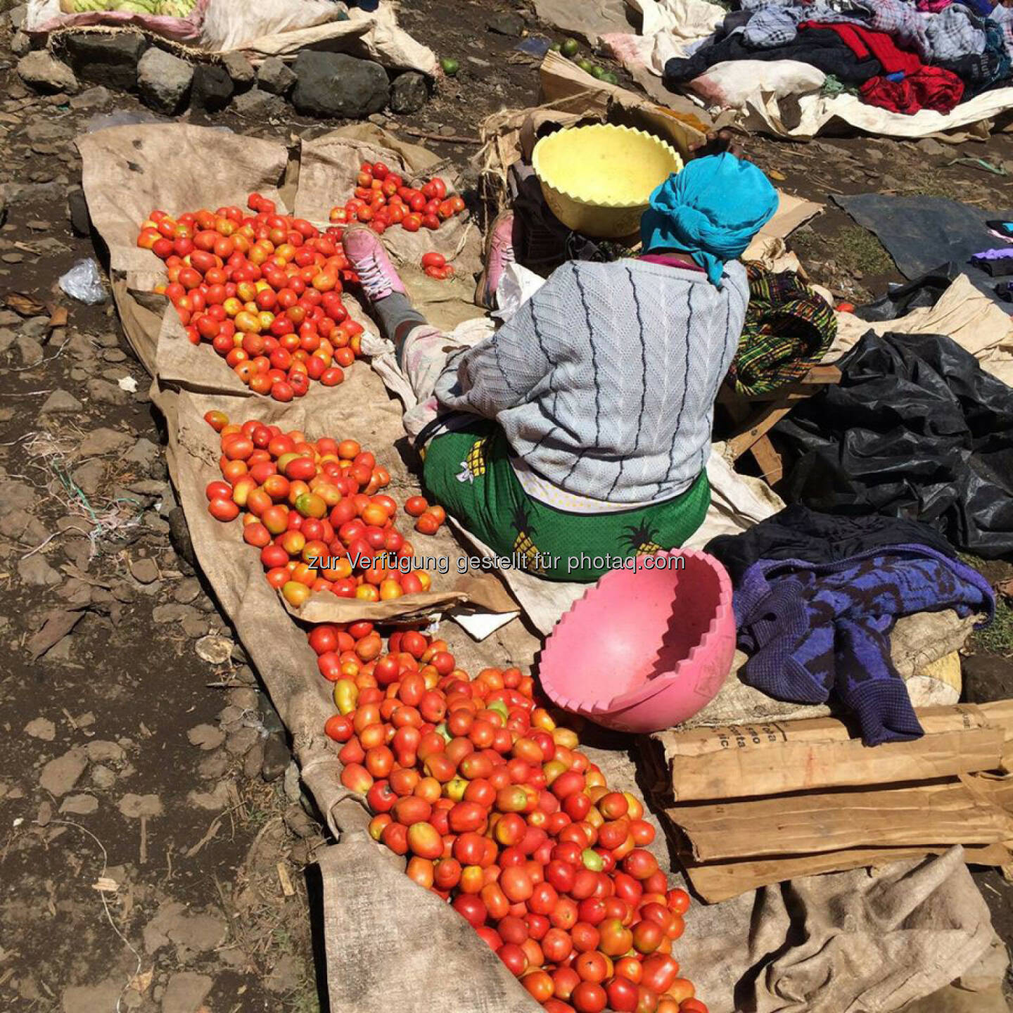 Kenia, Markt, Paradeiser, Tomaten