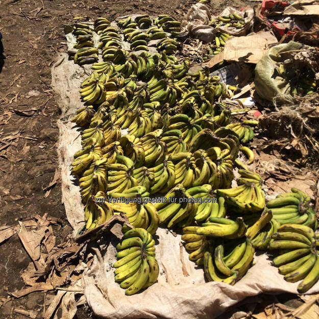 Kenia, Markt, Bananen, © Thomas Kratky (20.02.2015) 