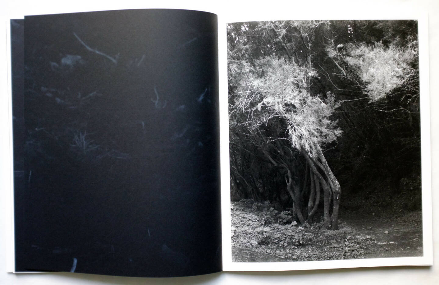 Awoiska van der Molen - Sequester (2014), 150-250 Euro, http://josefchladek.com/book/awoiska_van_der_molen_-_sequester