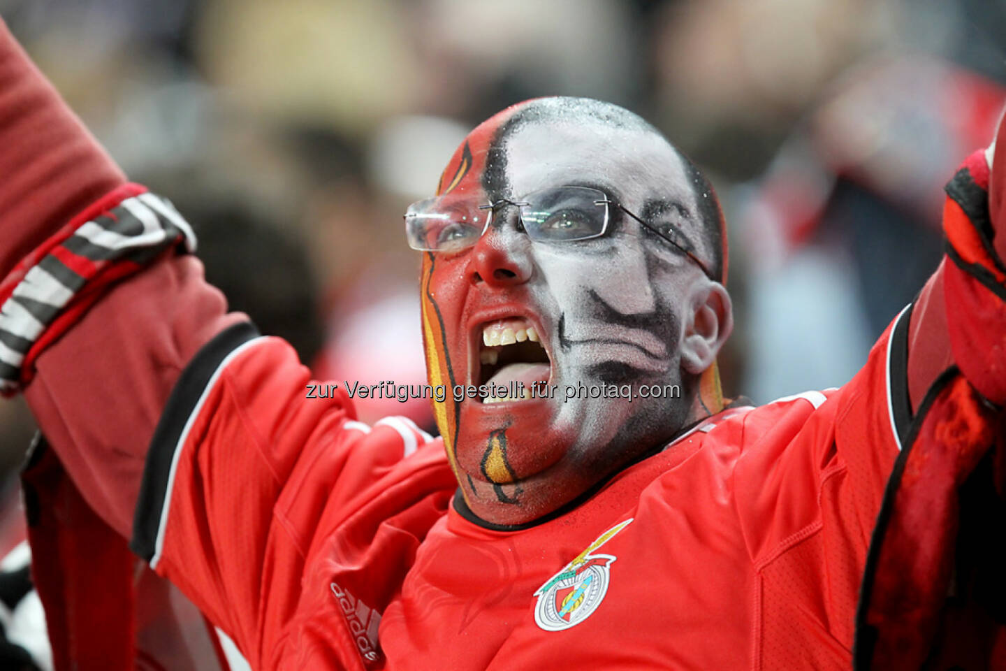 SL Benfica, Benfica Lissabon, Portugal, Fan, yes, Freude, Schrei, <a href=http://www.shutterstock.com/gallery-1100387p1.html?cr=00&pl=edit-00>Ververidis Vasilis</a> / <a href=http://www.shutterstock.com/editorial?cr=00&pl=edit-00>Shutterstock.com</a>, Ververidis Vasilis / Shutterstock.com