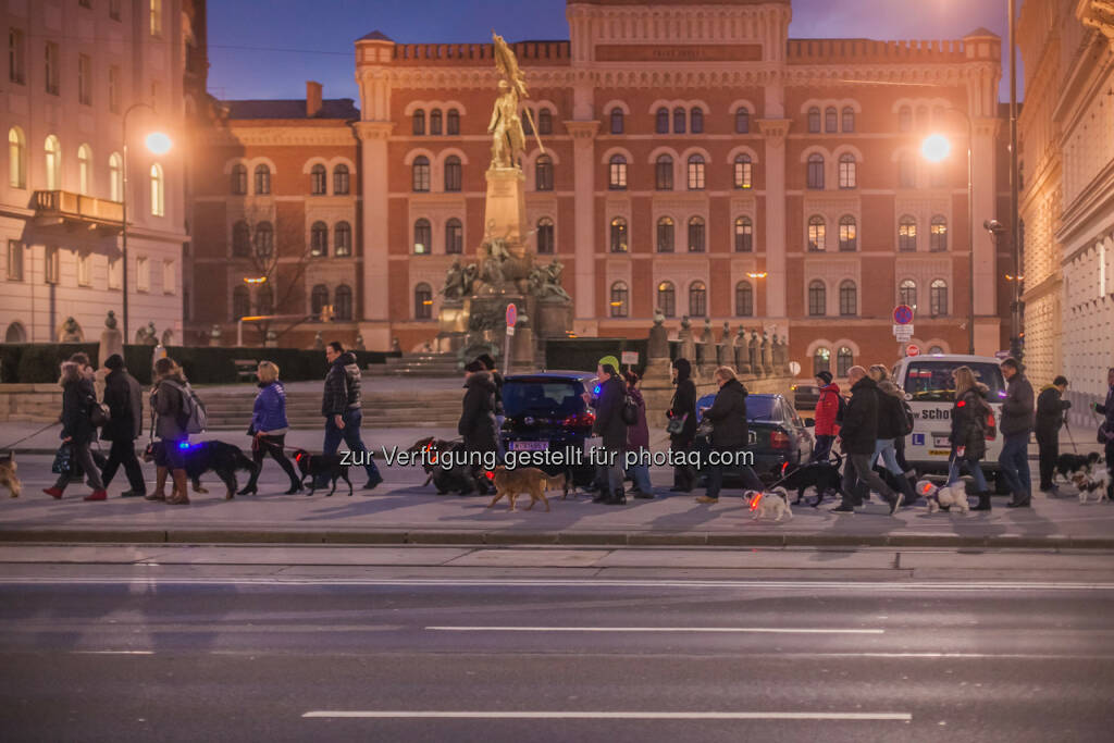Purina PetCare Austria: Sicherheit und Spaß beim ersten Beneful Night Walk für Hund & Halter, © Purina PetCare (02.03.2015)