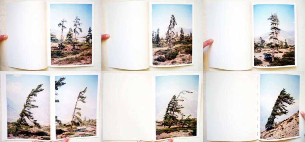 Vincent Delbrouck - Some Windy Trees, Self published/Wilderness 2013, Beispielseiten, sample spreads - http://josefchladek.com/book/vincent_delbrouck_-_some_windy_trees, © (c) josefchladek.com (29.03.2015) 