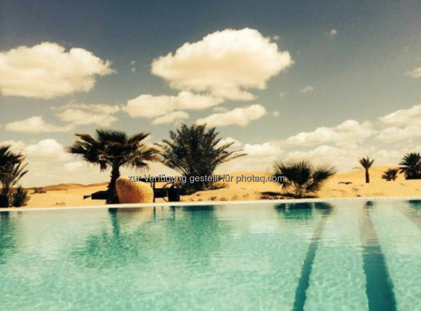Sahara Pool (Sue Katzer)