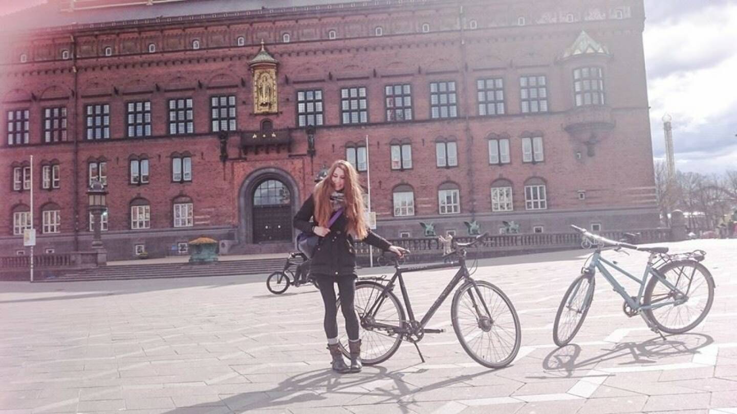 Fahrrad Rad