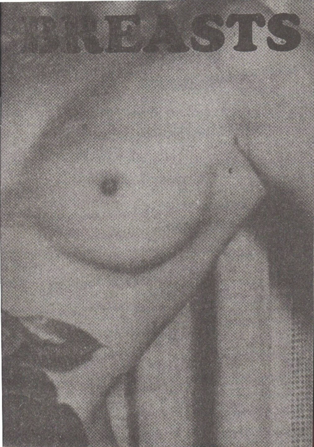Jurgen Maelfeyt - Breasts, Art Paper Editions 2013, Cover - http://josefchladek.com/book/jurgen_maelfeyt_-_breasts