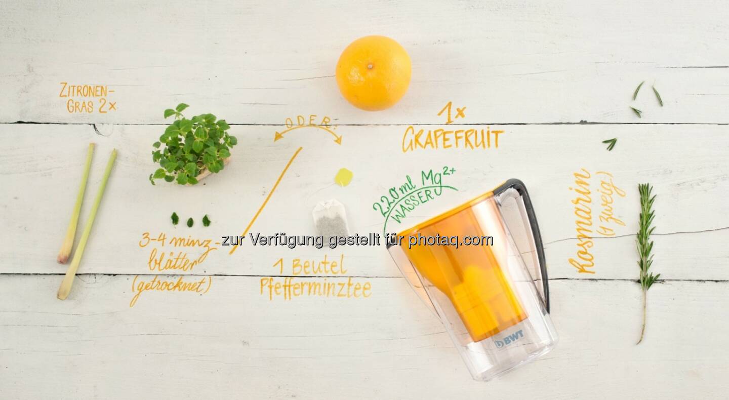 BWT Tischwasserfilter Grapefruit