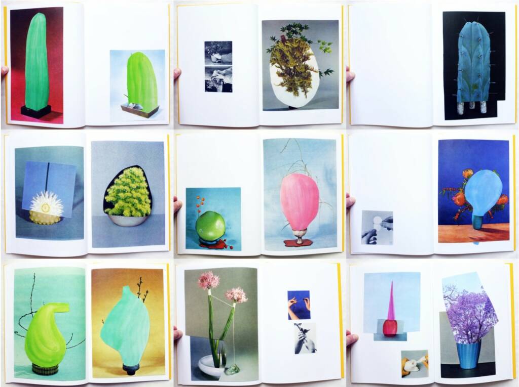 Ruth van Beek - The Arrangement, RVB Books 2013, Beispielseiten, sample spreads - http://josefchladek.com/book/ruth_van_beek_-_the_arrangement, © (c) josefchladek.com (08.05.2015) 