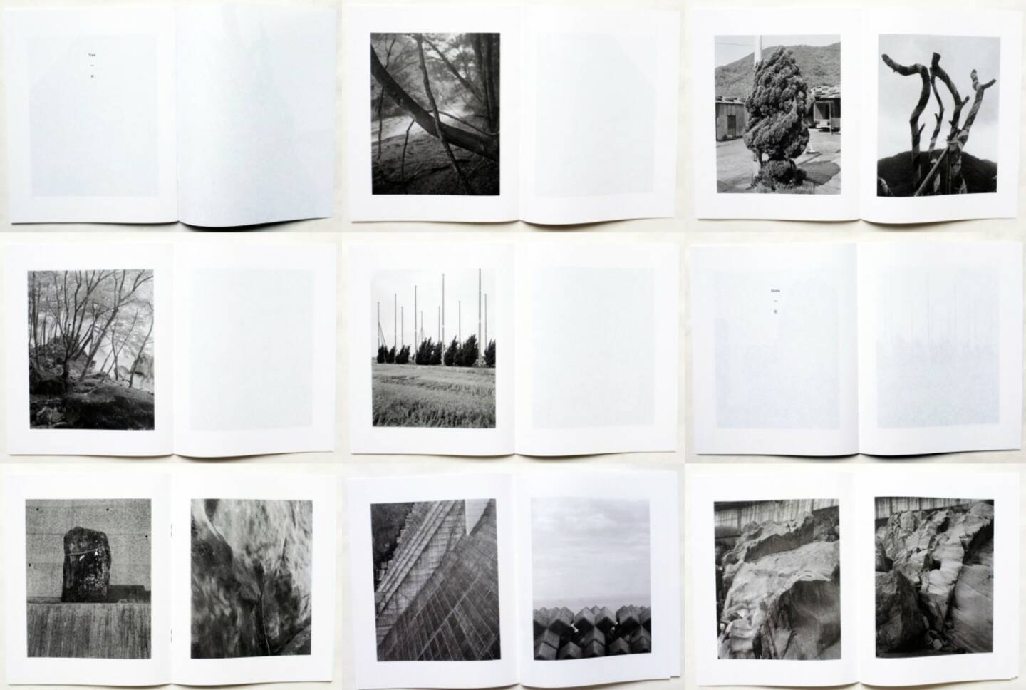 Gerry Johansson - Tree Stone Water, Libraryman 2015, Beispielseiten, sample spreads - http://josefchladek.com/book/gerry_johansson_-_tree_stone_water