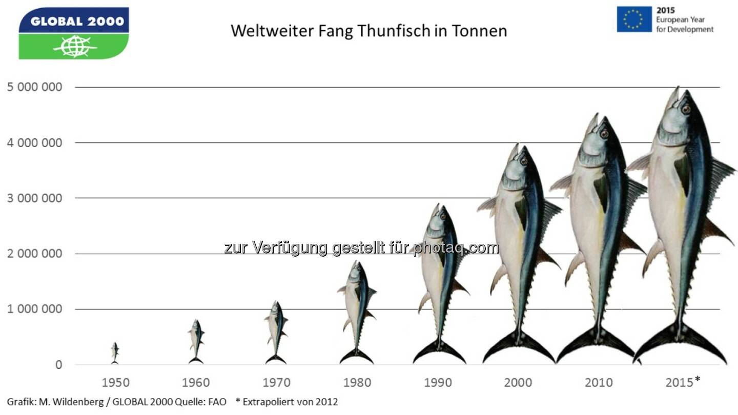 Global 2000 und Südwind: Soziales Elend und Überfischung in Thunfisch-Dosen europäischer Supermärkte