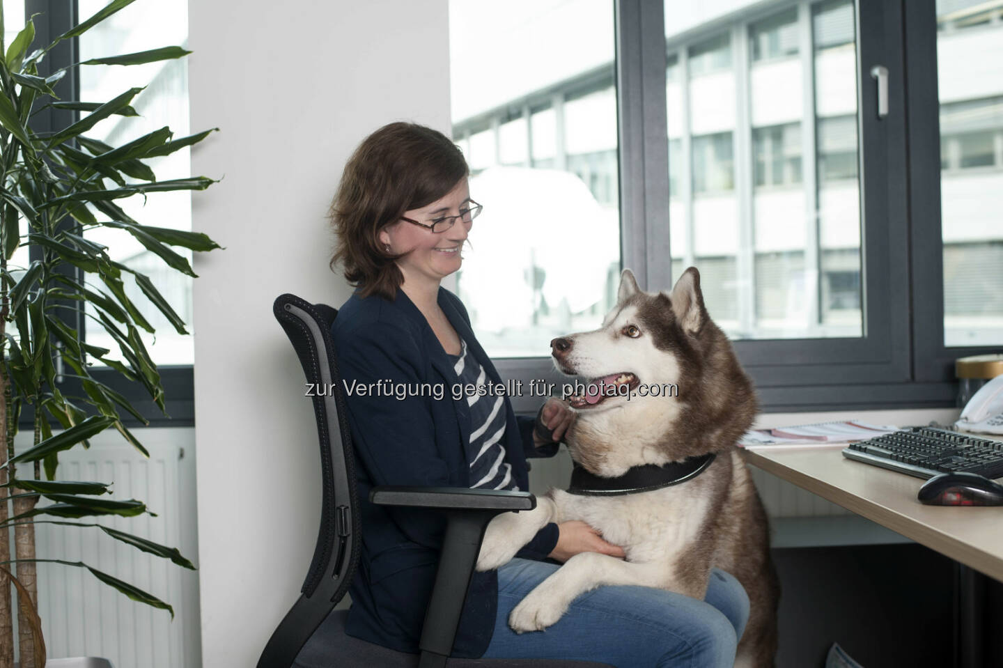 Anita Leban, Market Research Developement Managerin Purina, und ihr Huskyrüden Loki: Purina PetCare Austria: Zukunftstrend: Tiere am Arbeitsplatz, © Purina PetCare Austria/ Brigitte Gradwohl
