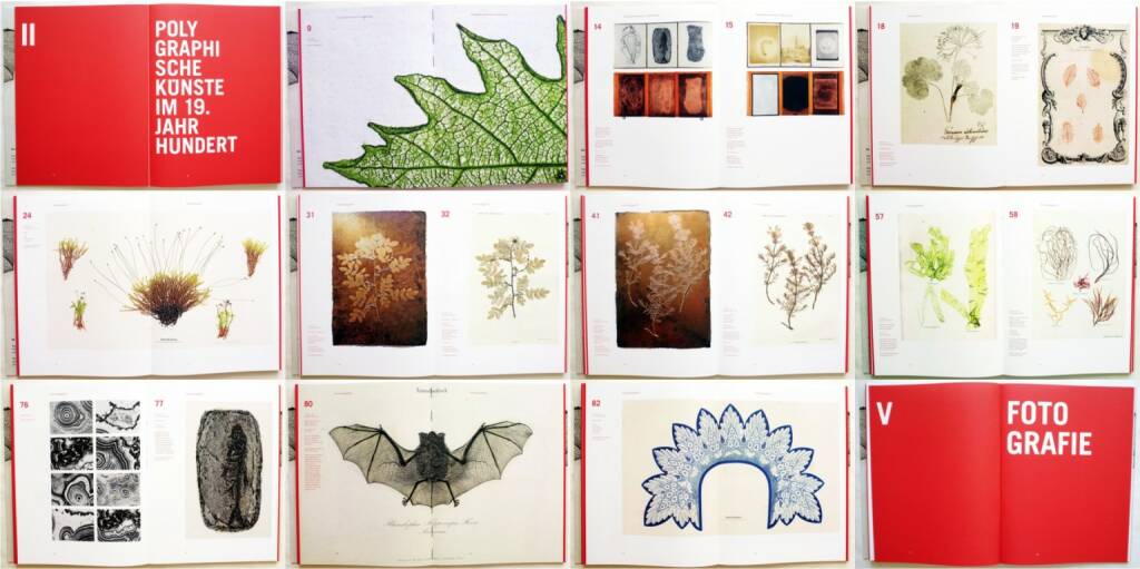 Simon Weber-Unger - Naturselbstdrucke, Album Verlag 2014, Beispielseiten, sample spreads  - http://josefchladek.com/book/simon_weber-unger_-_naturselbstdrucke, © (c) josefchladek.com (19.06.2015) 