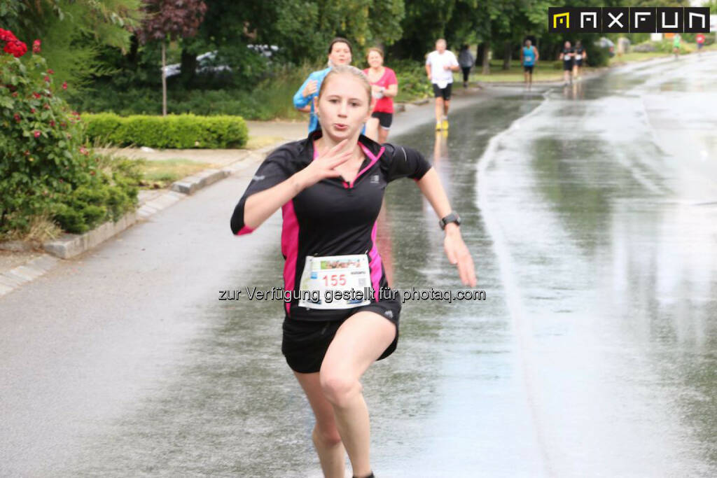 Weinlauf Gols, © MaxFun Sports (21.06.2015) 