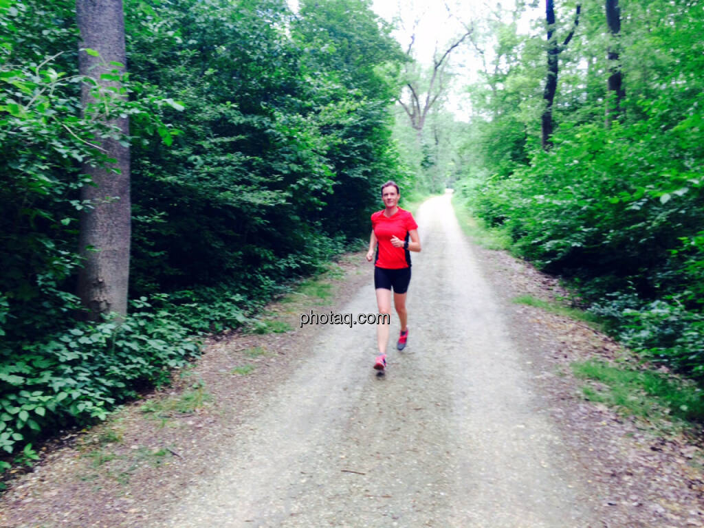 Stockerauer Au, © Martina Draper (21.06.2015)