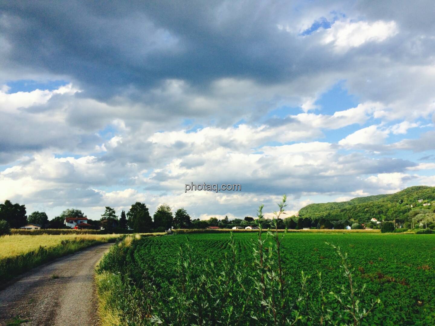 Feld, Wolken