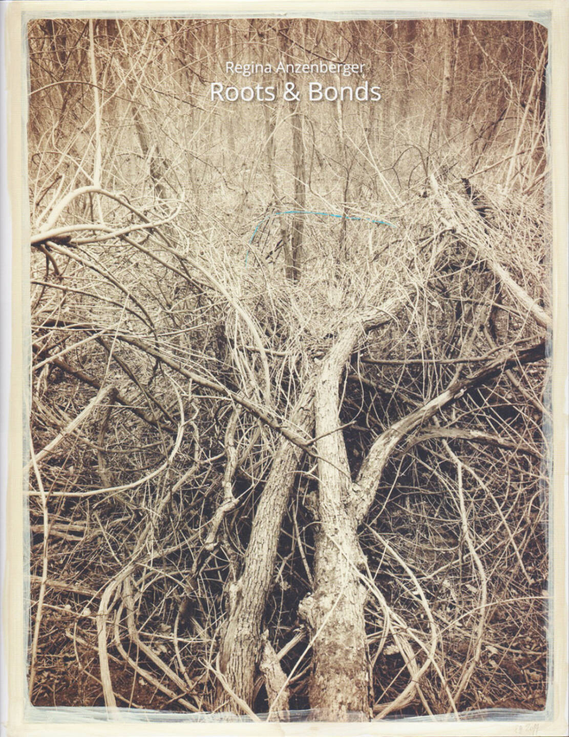 Regina Anzenberger - Roots & Bonds, AnzenbergerEdition 2015, Cover - http://josefchladek.com/book/regina_anzenberger_-_roots_bonds