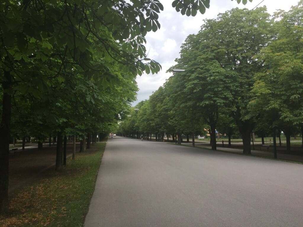 Prater Hauptallee, menschenleer, leer (16.07.2015) 