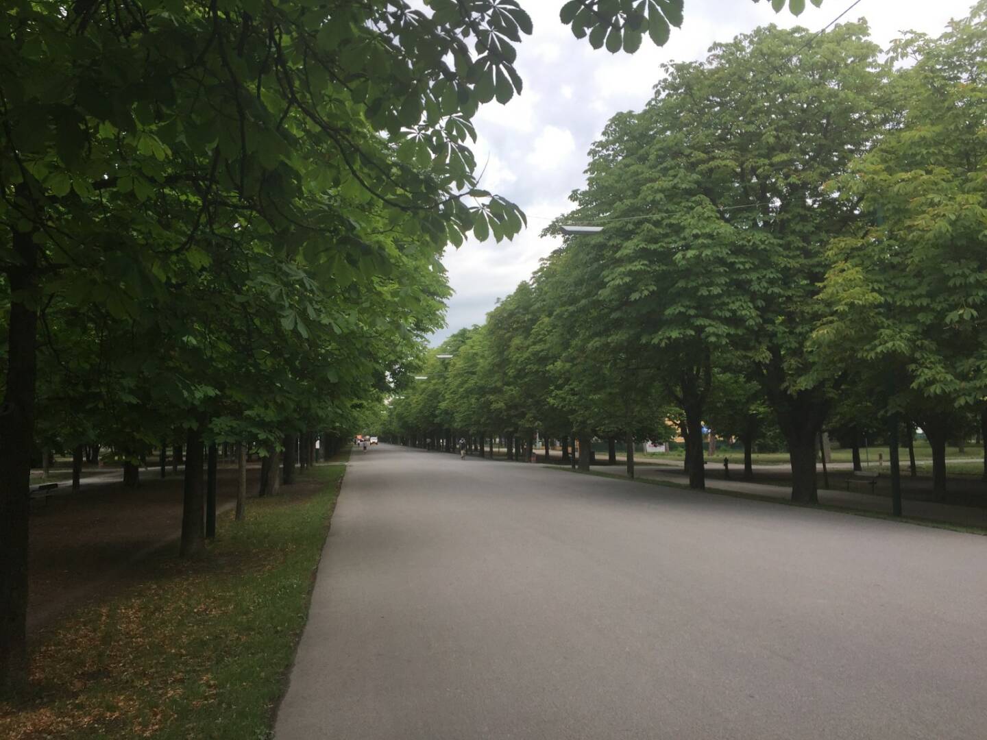 Prater Hauptallee, menschenleer, leer