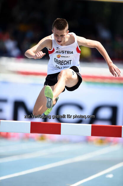 Bernhard Obrecht, 2000m Hindernis (Bild: ÖLV/Jiro Mochizuki) (19.07.2015) 