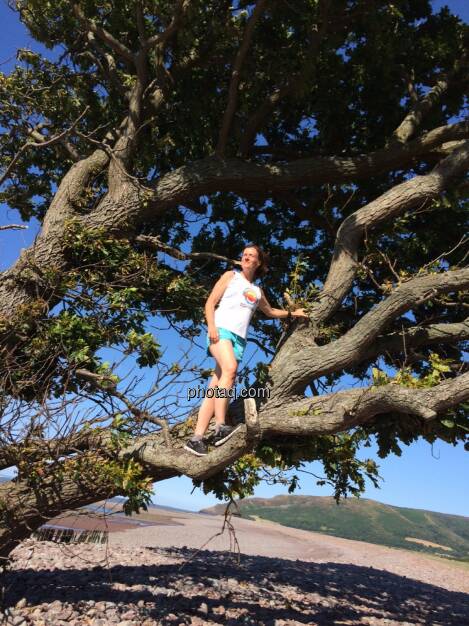 Baum, © Martina Draper (19.07.2015)