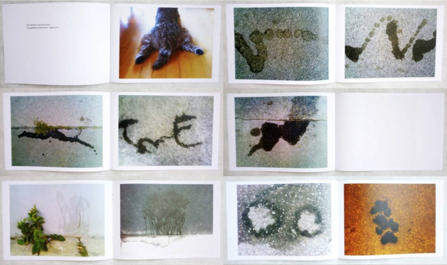 Jaqueline Godany - brunzer, Self published 2015, Beispielseiten, sample spreads - http://josefchladek.com/book/jaqueline_godany_-_brunzer
