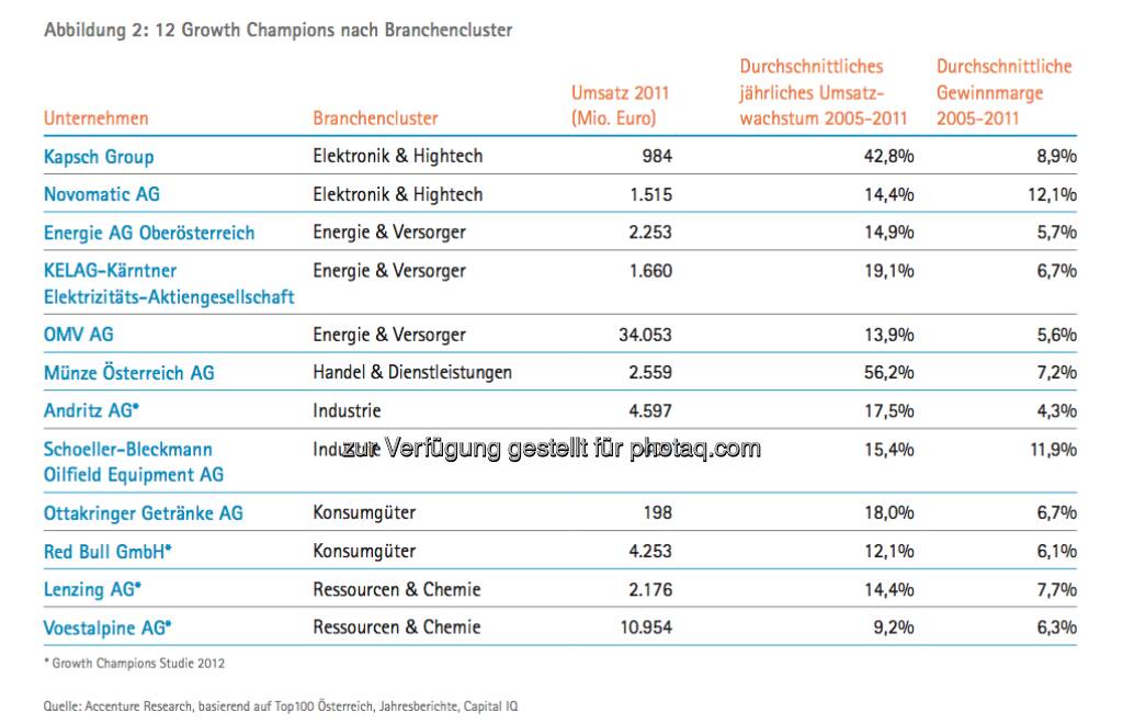 Die Growth Champions unter Österreichs Top100: Grafik Champions nach Branche - die Studie gibt es unter http://www.accenture.com/at-de/Pages/index.aspx zum Download (14.03.2013) 