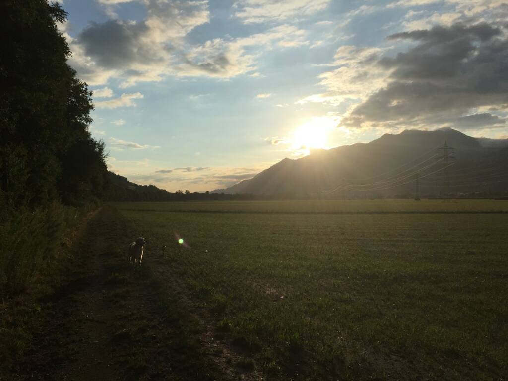 Am Feldweg (28.07.2015) 