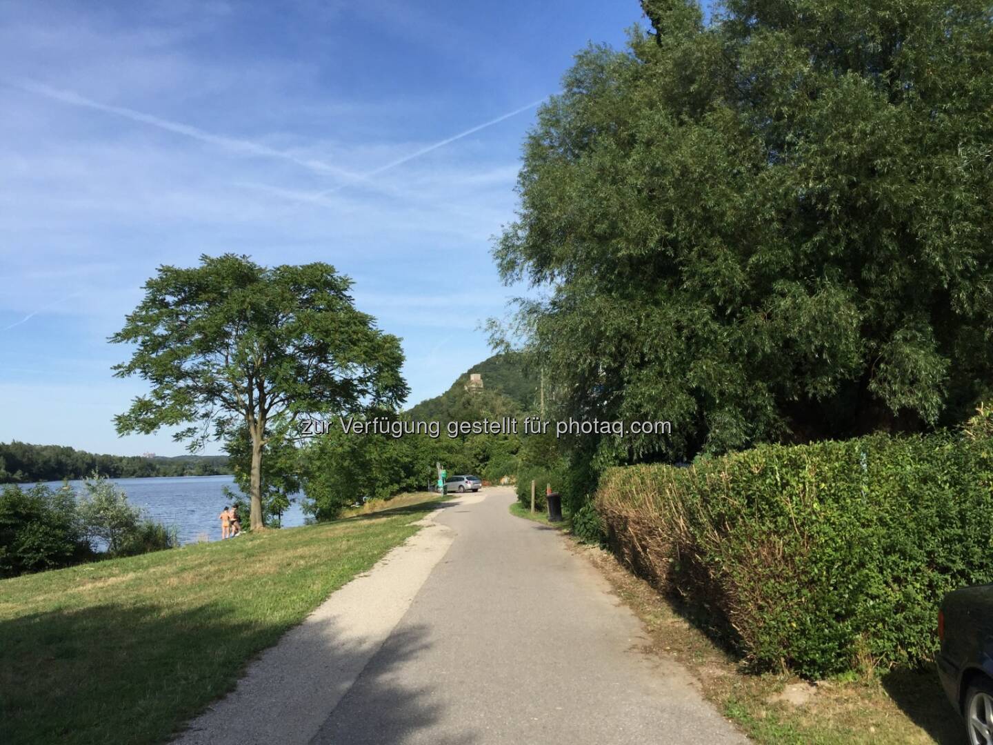 Donauradweg, Donau