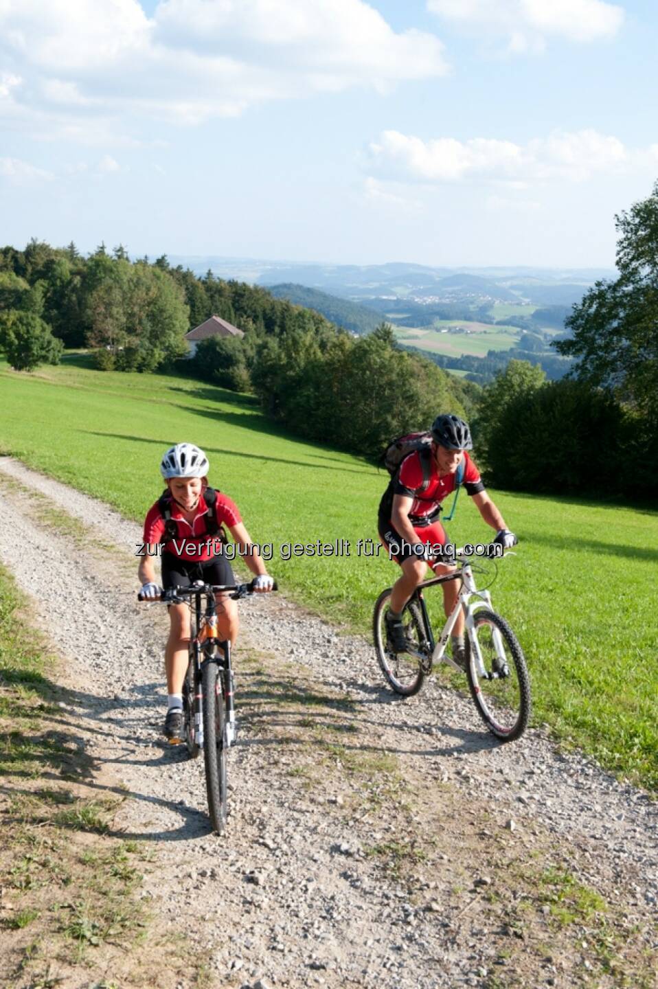 Öffnung der Forststraßen für Biker: faires Miteinander und Schutz der Natur sind Voraussetzung! : © Hermann Erber/Naturfreunde Österreich