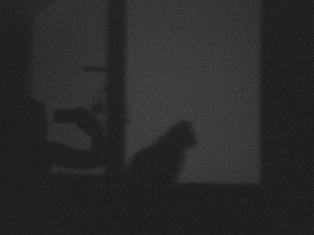 Schatten, Katze, © Martina Draper (11.08.2015) 
