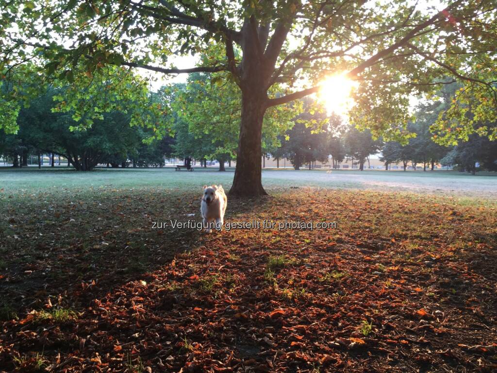 Kelly im Park (14.08.2015) 