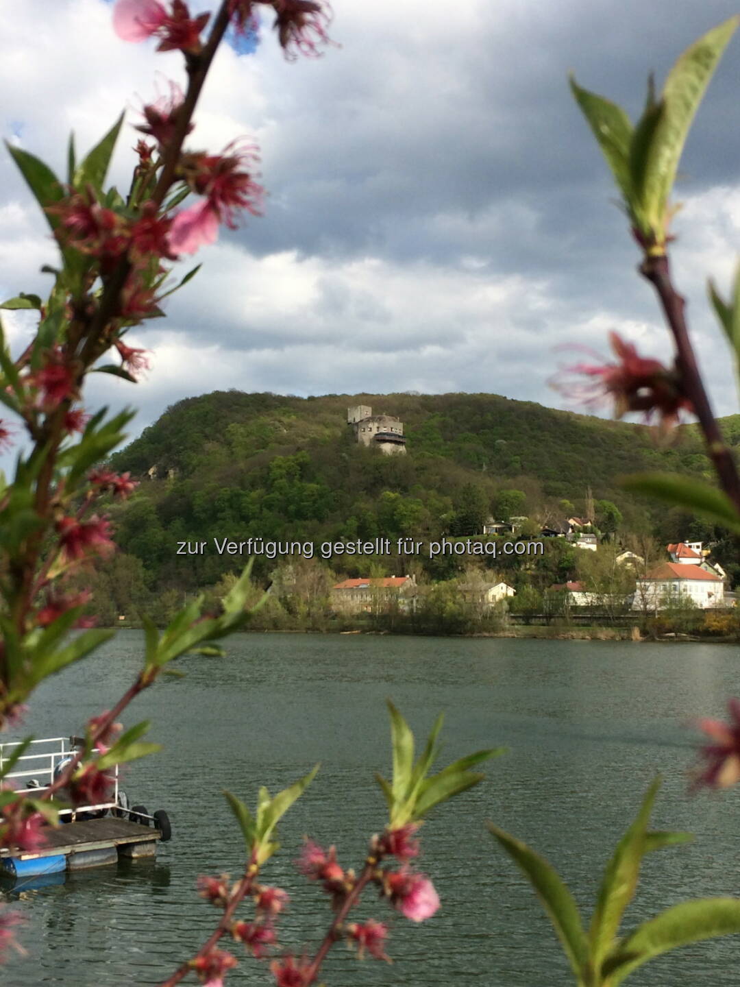 Burg Greifenstein