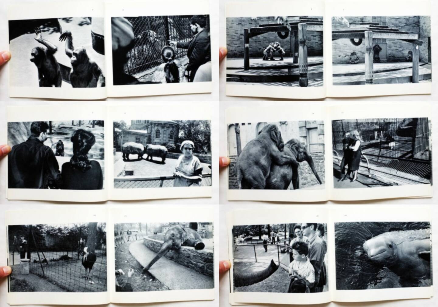 Garry Winogrand - The Animals (Softcover, first edition), The Museum of Modern Art 1969, Beispielseiten, sample spreads - http://josefchladek.com/book/garry_winogrand_-_the_animals_softcover_first_edition