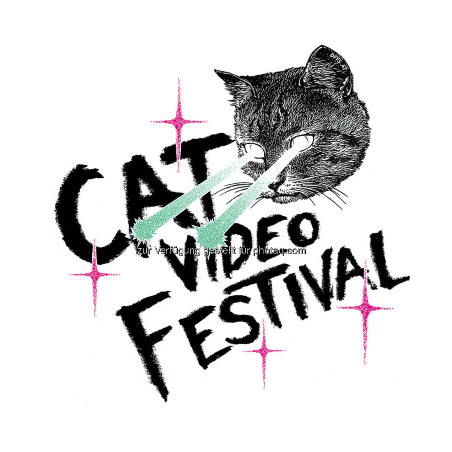 Das neue Sujet für das 3. Cat Video Festival Vienna : Arena Sommerkino 29. August 2015 : Fünfteiliges Filmprogramm mit neuen Katzenvideos und zahlreichen Klassikern - Postkartenwettbewerb, CATwalk und DJs im Rahmenprogramm und Whiskas als neuer Partner : © Fotograf: Benjamin Hammerschick/Fotocredit: VIS/Benjamin Hammerschick