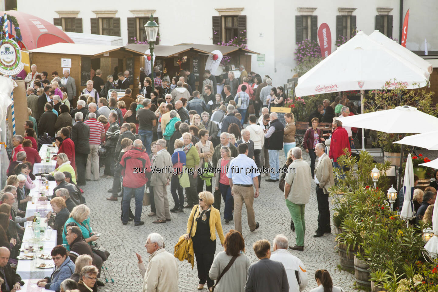 Rust : Gans Burgenland feiert ein Fest für's Federvieh! : Mit dem Gans Burgenland Genuss Festival wird Rust auch heuer wieder von 9. bis 11 Oktober zur Genuss-Metropole des Burgenlandes : Fotograf: EMG/Fotocredit: Burgenland Tourismus