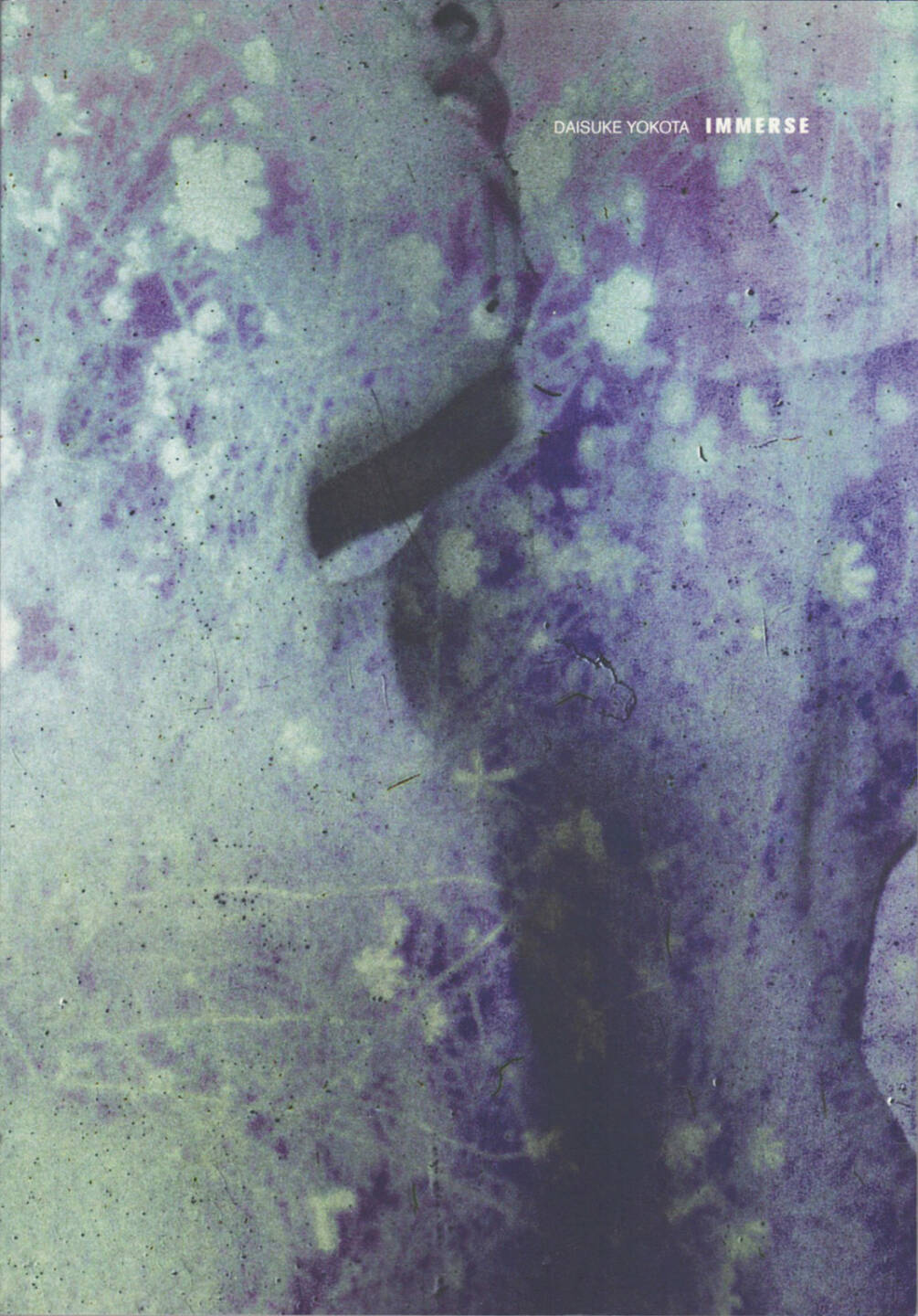 Daisuke Yokota - Immerse, Akina Books 2015, Cover - http://josefchladek.com/book/daisuke_yokota_-_immerse