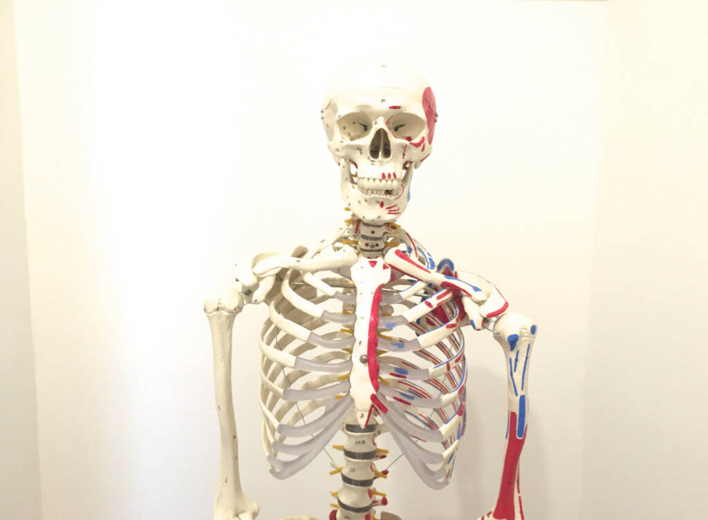 Skelett nackt (09.09.2015) 