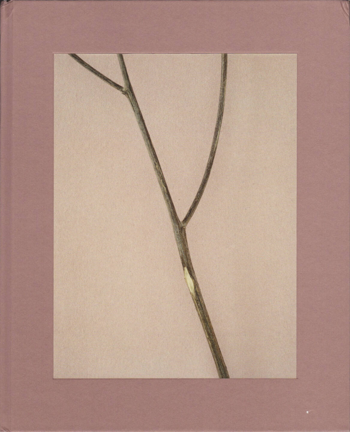 Casper Sejersen - Belongs to Joe, MACK 2015, Cover - http://josefchladek.com/book/casper_sejersen_-_belongs_to_joe